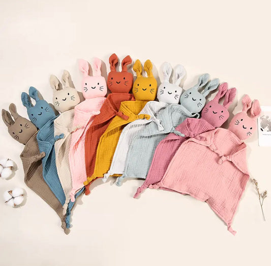 Muslin Comforter 1pc/4pc